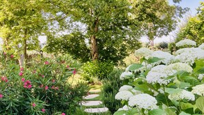 A garden pathway with stepping stones, surrounded by lush greenery and white hydrangea bushes. - The Bastide of Villecroze  (Villecroze)