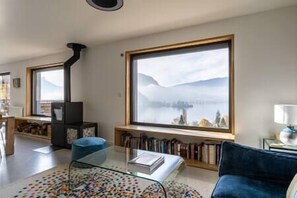 Smart TV, fireplace, DVD player, video library