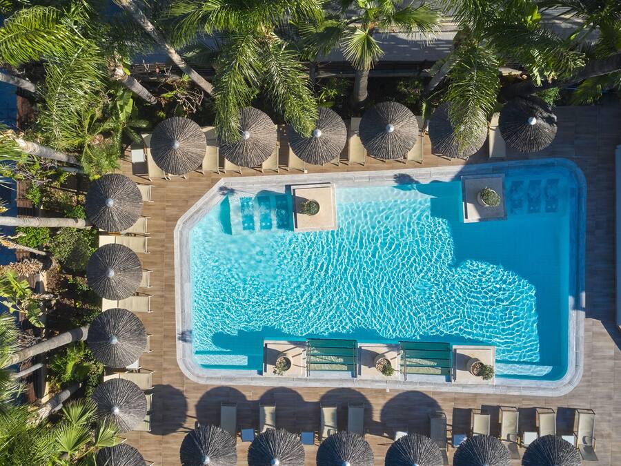 Une vue aérienne d’une piscine rectangulaire entourée de chaises longues et de palmiers.