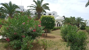 A garden pathway leading to a white building with arches, surrounded by palm trees and flowering shrubs.