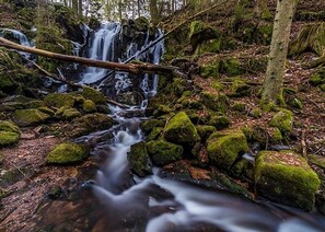 Property grounds - Waldblick Titisee (W2) + Hochschwarzwald Card | near the lake 5 minutes (Titisee-Neustadt)