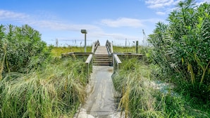 Un muelle de madera que conduce a un puente sobre una masa de agua, rodeado de vegetación densa.