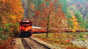 A train on tracks surrounded by autumn foliage. - Beautiful condo right near all North Conway, Jackson and Bartlett has to offer! (Bartlett)