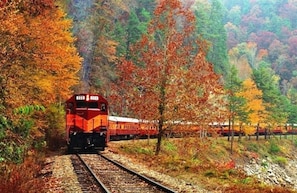 Passengers can enjoy scenic views of the forest from the comfort of this passenger train.