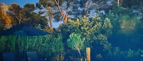 حمّام سباحة خارجي