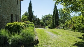 A well-maintained garden with a stone wall, tall trees, and a gravel path leading to a gate.