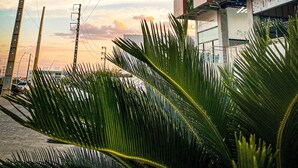 A modern building with a large blue glass facade, power lines, and palm trees in the foreground.