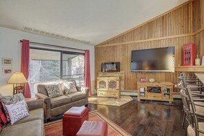 TV, fireplace, video games, DVD player
