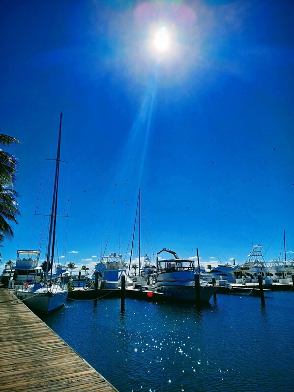 A marina with boats docked, a wooden dock, and a clear blue sky. - All Included!!Private 3bedSailboat IncludingAccommodations&AllExcursions up to 6 (Key West)