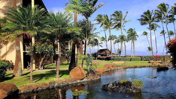 Ein Resort mit Teich, Palmen und einem Gebäude mit Balkonen.