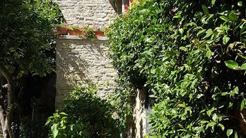 Zimmer, 1 Schlafzimmer, Terrasse, Gartenblick | Eingangsbereich