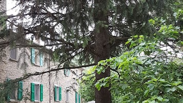 Room, 1 Bedroom, Patio, Garden View | Garden