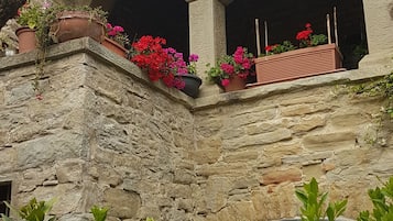 Room, 1 Bedroom, Patio, Garden View | Balcony