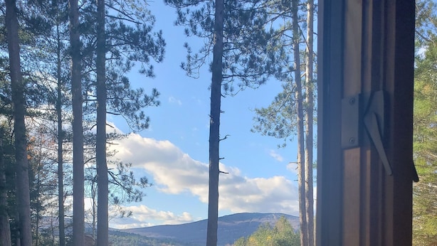 Un terrazzo in legno con una panchina, affacciato su una zona erbosa con alberi alti e montagne lontane.
