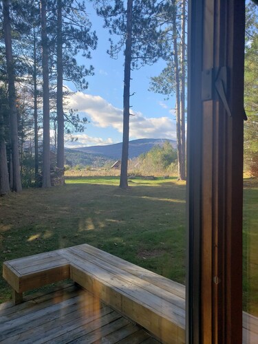 Delightful Vacation Home - Minutes to Okemo,  Direct Access to VAST trails