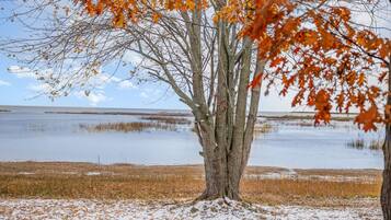 A tree with autumn leaves in front of a calm body of water.