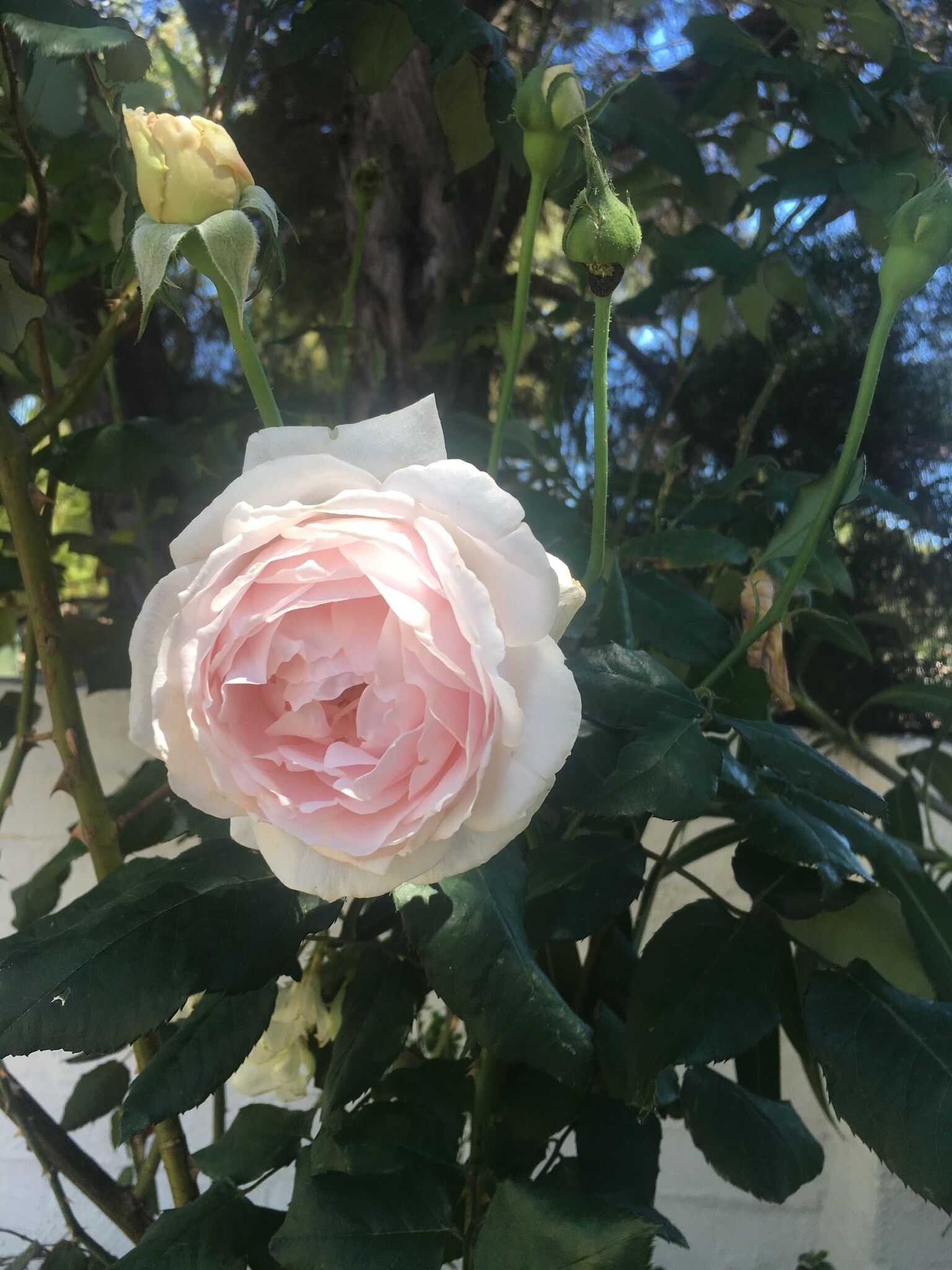 Mediterranean style villa — image 17