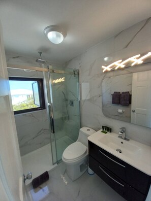 Shower, hair dryer, towels, soap