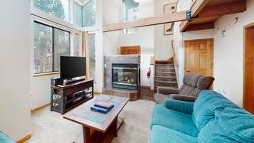 Télévision, cheminée, lecteur de DVD, table de tennis de table