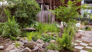 Un jardin agrémenté de diverses plantes, de rochers et d’une clôture en bois.