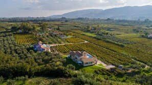 Exterior - Luxury Villa with Private Pool, Tennis Court & Vineyard | Aneli Villa Semeli (Agios Kirikos)