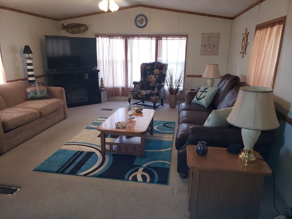 Televisor intel·ligent, llar de foc, reproductor de DVD i llibres