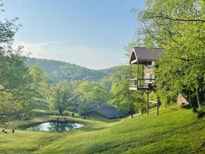 Terrain de l’hébergement 