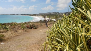 A coastal path leading to a beach with clear turquoise waters and a view of distant hills and houses. - ♥Charming studio ♥♥ near Orient Bay beach (Saint Martin)