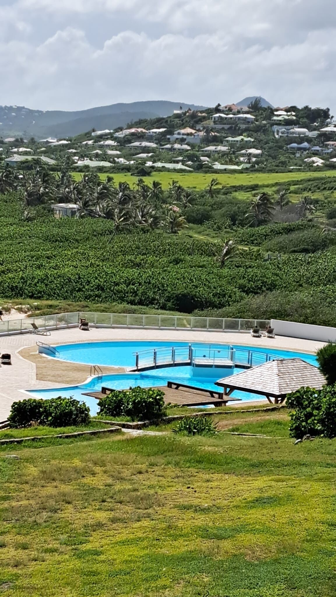 A swimming pool with a surrounding deck, lush greenery, and a distant mountain.