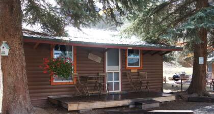 The Bluebonnet Cabin with Mountain Views