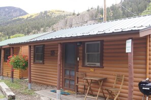 Exterior - The Lily Cabin with Mountain Views (Lake City)