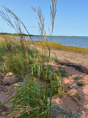 Beach nearby - PEI cottage, water views, fire pit, A/C, 25 mins from Charlottetown - Donaldston (Mount Stewart)