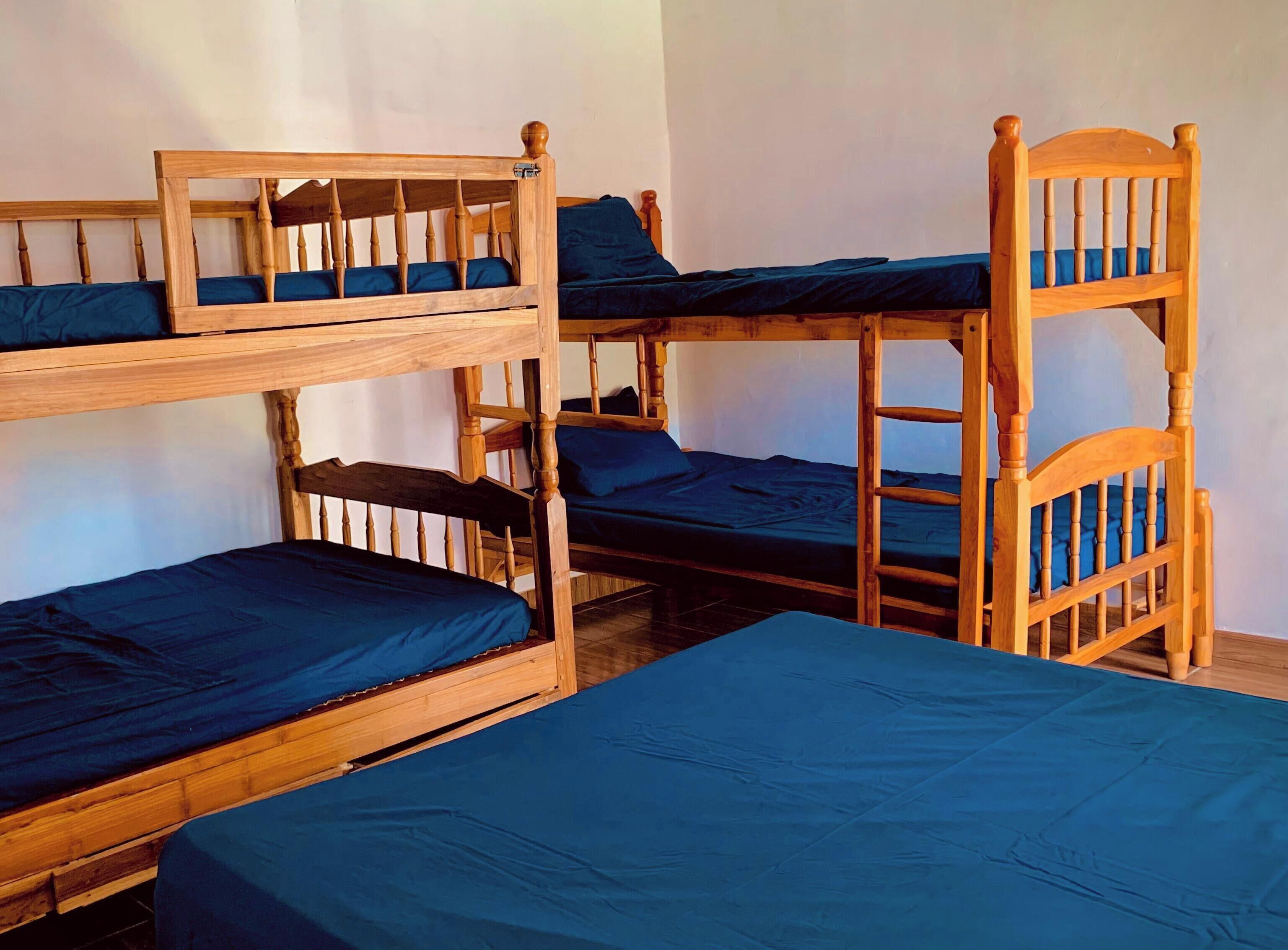 A dormitory room with bunk beds and a wooden ladder.