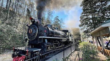 A steam locomotive with the number 192, emitting smoke, passing through a fenced area with a building labeled "DOLLY'S" in the background.