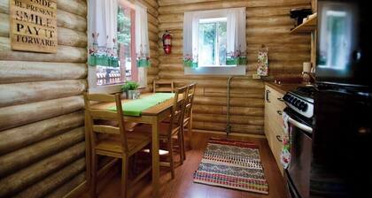 The Marigold Cabin with Mountain Views