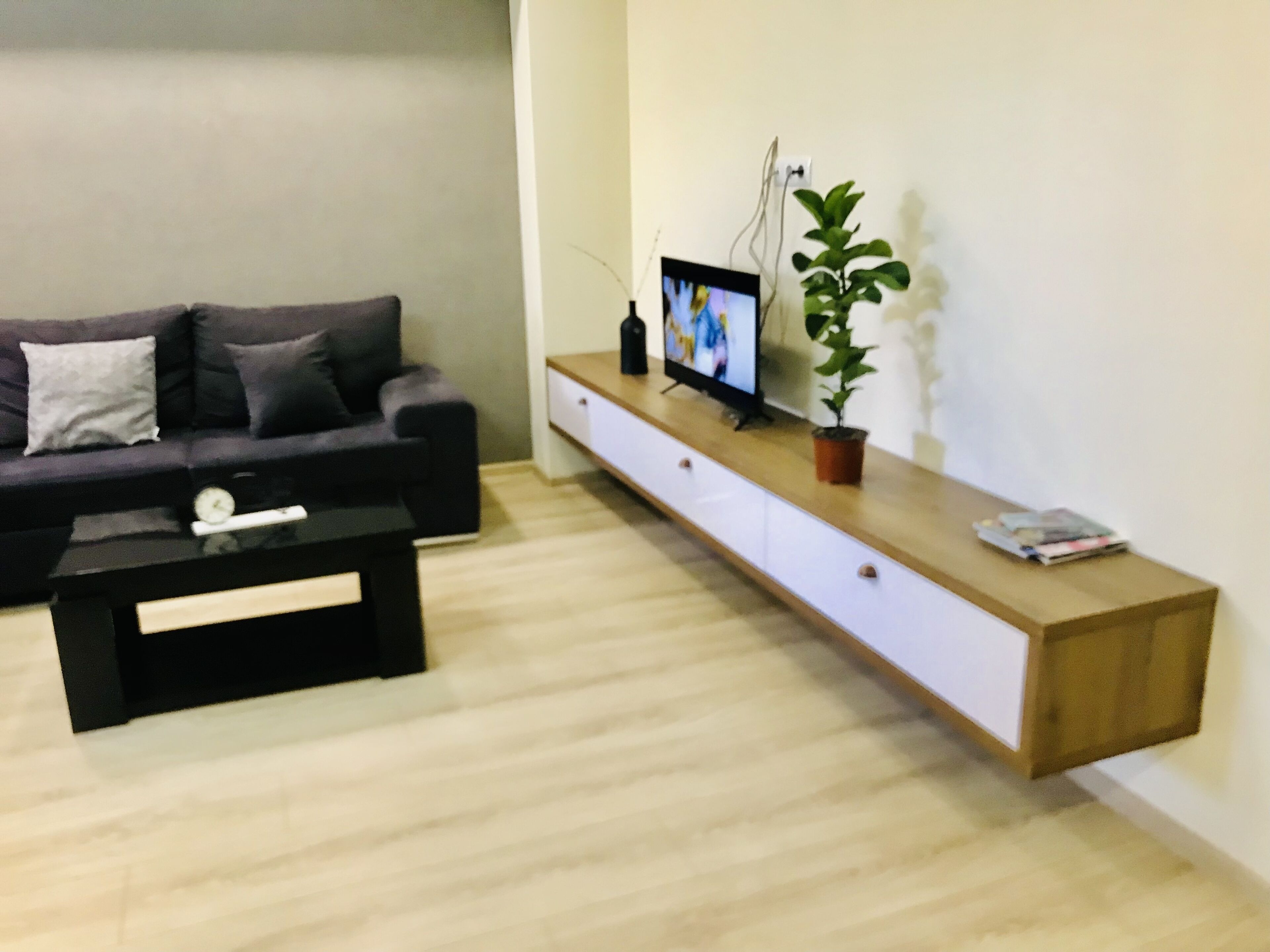 Ein modernes Wohnzimmer mit einem dunkelgrauen Sofa, einem Couchtisch, einem Flachbildfernseher auf einer Holzkonsole und einer Zimmerpflanze.