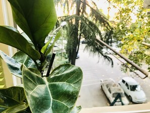 Blick durch ein Fenster, im Vordergrund eine Pflanze, im Hintergrund eine Straßenszene mit parkenden Autos.