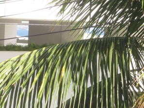 Property grounds - 2 bedroom apartment 50 meters from Praia do Forte (Cabo Frio)