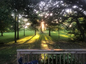 Um deck de madeira com vista para um parque.