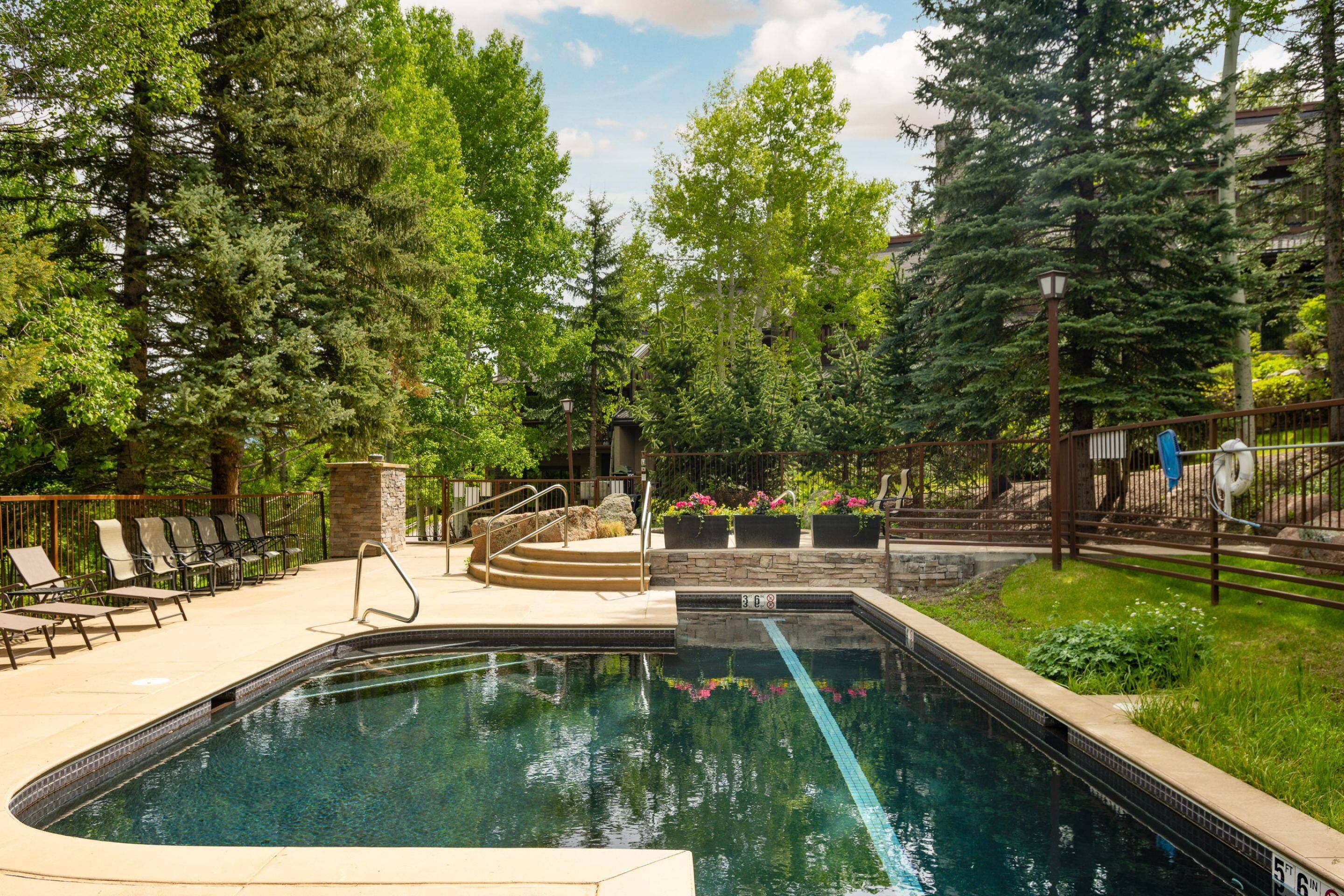 A swimming pool with a stone border, surrounded by trees and a stone wall.