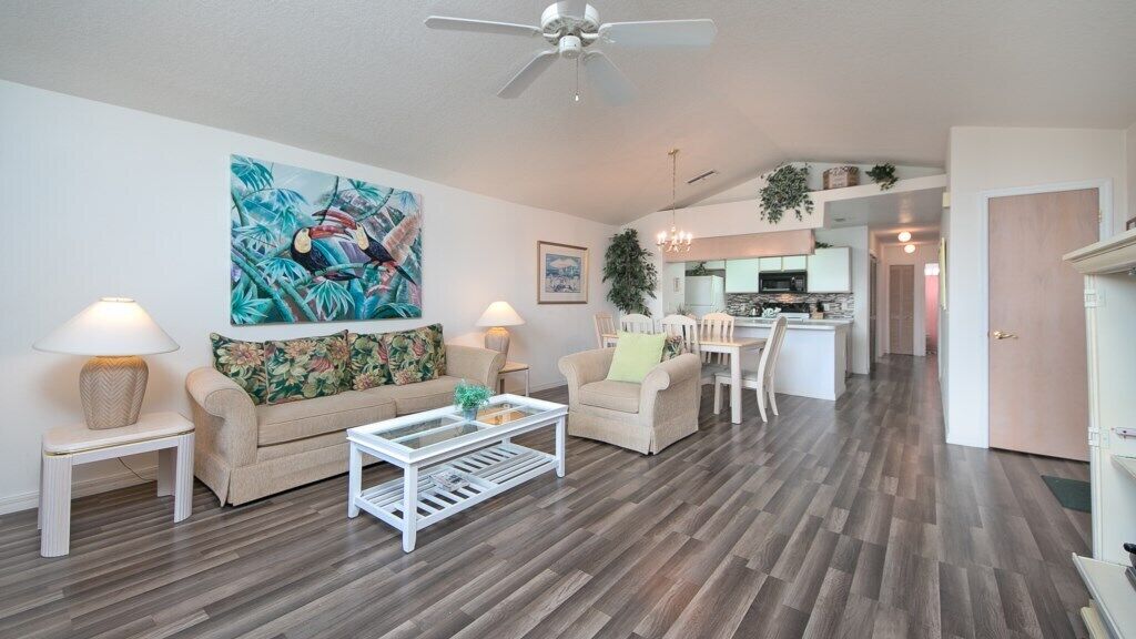 TV, video library, stereo