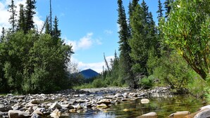 Un ruisseau aux eaux claires, bordé de rochers, entouré d’une végétation luxuriante et avec une montagne en arrière-plan.
