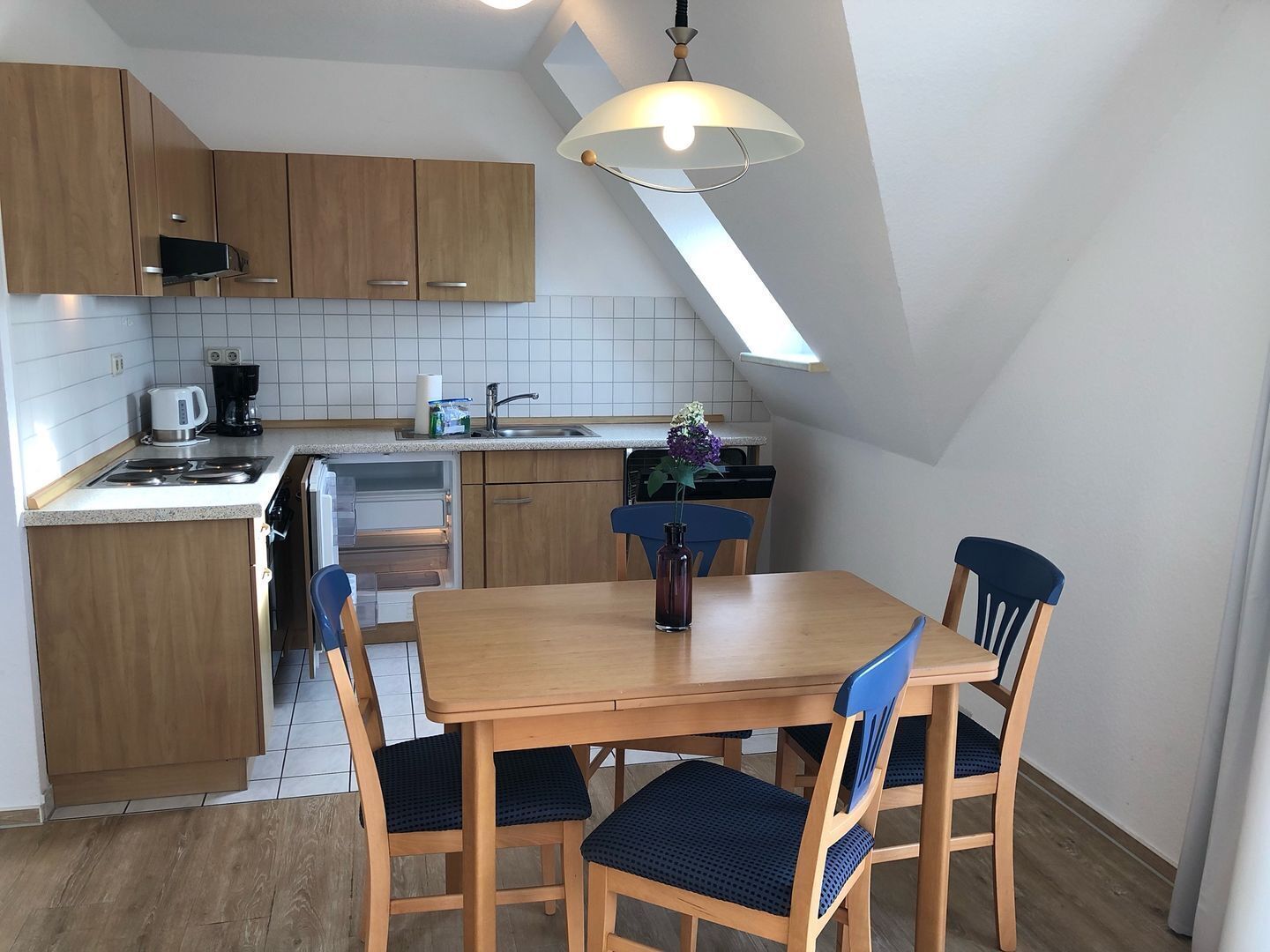 Kühlschrank, Ofen, Herdplatte, Geschirrspüler