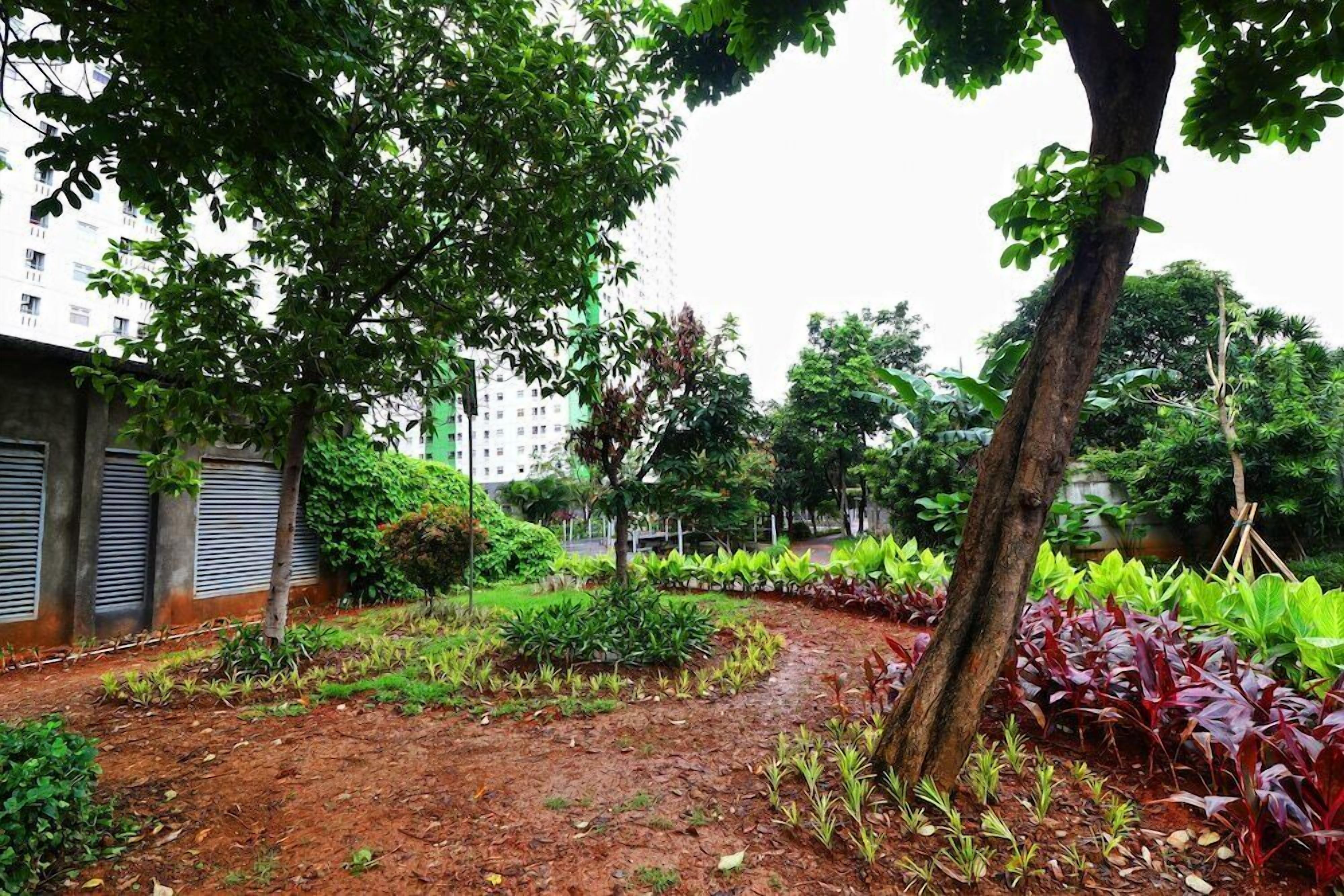 Khuôn viên nơi lưu trú