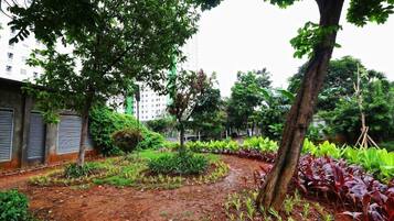 Khuôn viên nơi lưu trú
