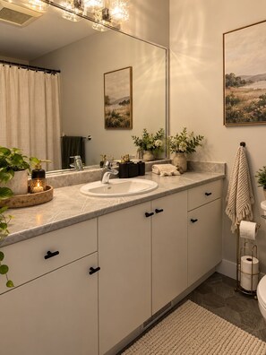 A modern bathroom with a large mirror, a sink, and a toilet. There are plants and decorative items on the counter. - Zen Mountaire retreat, 1 bedroom, 1 bath, private parking (Langford)