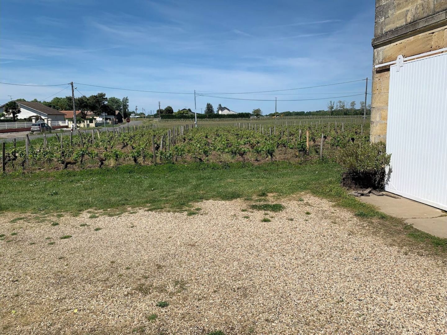 Viñedo con hileras de vides, zona de grava y un edificio con puerta de garaje blanca.