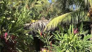 Ein üppiger Garten mit verschiedenen tropischen Pflanzen und einem Reetdachgebäude.
