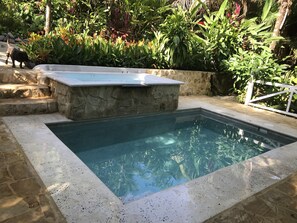 Outdoor pool - CASA COLIBRI (Montezuma)