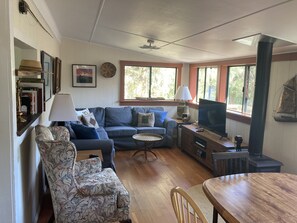 Smart TV, chimenea y reproductor de DVD 